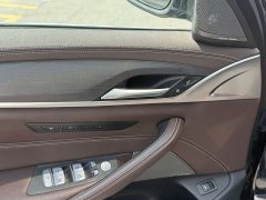 BMW 5 Series Facelift 530Li Luxury M Sport Package - ფოტო 11