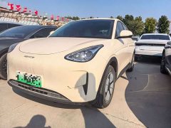 Geely Xing Yuan 310km Dream Edition - ფოტო 1