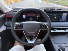 Nissan Venucia V 260T Monarch Edition Pro - ფოტო 9