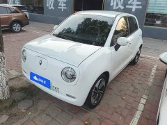 Ora Black Cat 351km Comfort Ternary Lithium - ფოტო 1