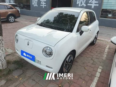 2022 Ora Black Cat 351km Comfort Ternary Lithium - ავტომობილი ჩინეთიდან