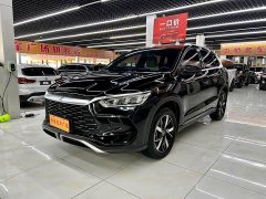 BYD Song Pro New Energy DM-i 71KM Glory Edition Pilot - ფოტო 1