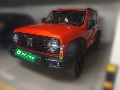 Tank 300 Off-Road Edition 2.0T Conqueror - ფოტო 1