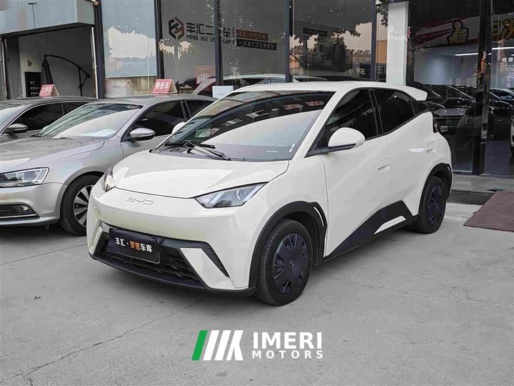 BYD Seagull Glory Edition 305km Vitality Version