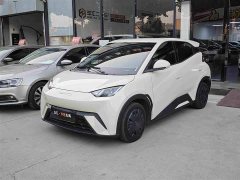 BYD Seagull Glory Edition 305km Vitality Version - ფოტო 1