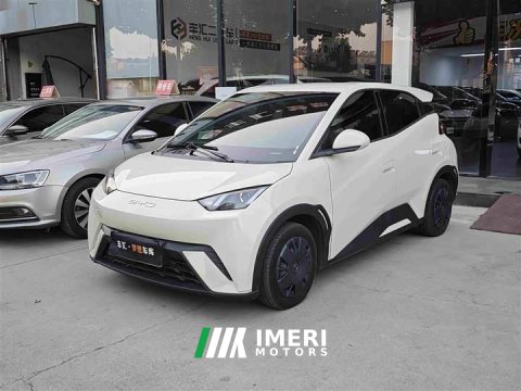 2024 BYD Seagull Glory Edition 305km Vitality Version - ავტომობილი ჩინეთიდან