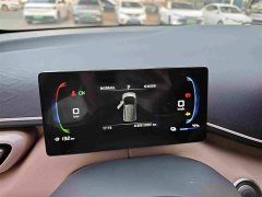 BYD Seagull Glory Edition 305km Vitality Version - ფოტო 11