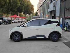 BYD Seagull Glory Edition 305km Vitality Version - ფოტო 3