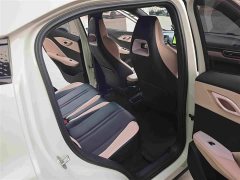 BYD Seagull Glory Edition 305km Vitality Version - ფოტო 8