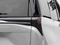 Buick GL8 Luzun Respect Edition - ფოტო 6