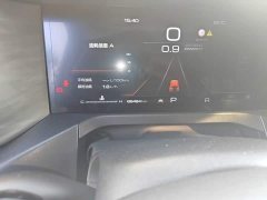 Tank 300 Off-Road Edition 2.0T Conqueror - ფოტო 13