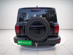 Tank 300 Off-Road Edition 2.0T Conqueror - ფოტო 5