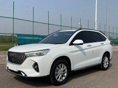 Haval M6 2021 PLUS 1.5T DCT Luxury Smart Connected Edition - ფოტო 1