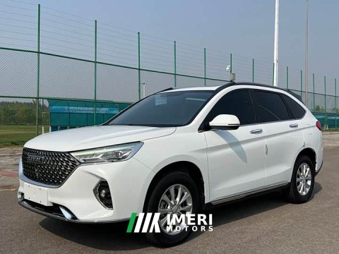 2022 Haval M6 2021 PLUS 1.5T DCT Luxury Smart Connected Edition - ავტომობილი ჩინეთიდან