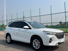 Haval M6 2021 PLUS 1.5T DCT Luxury Smart Connected Edition - ფოტო 3