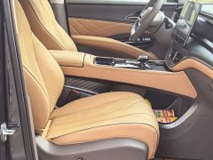 Denza BYD Denza D9 2022 DM-i 970 AWD Premium Edition - ფოტო 4