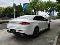 Geely Xingrui 2.0T Diesel Luxury - ფოტო 10