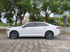 Geely Xingrui 2.0T Diesel Luxury - ფოტო 12