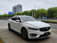 Geely Xingrui 2.0T Diesel Luxury - ფოტო 3