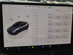 Tesla Model Y Rear-Wheel Drive - ფოტო 14