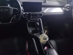 Geely Bingyue 2021 1.4T Manual Golden Edition - ფოტო 16