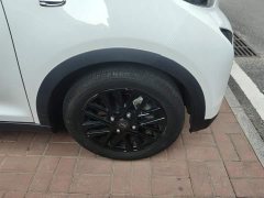 Chery Ant 321km Edition - ფოტო 6