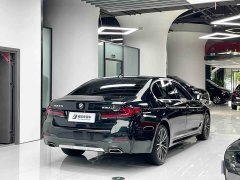 BMW 5 Series 530Li Premier M Sport Package - ფოტო 16