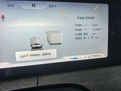 Chery Tiggo 9 2.0T DCT FWD Luxury 5-Seater - ფოტო 15