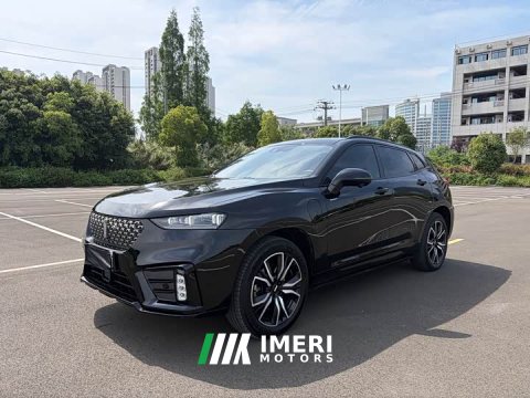 2021 Great Wall WEY VV7 New Energy 2020 PHEV 2.0T Flagship - ავტომობილი ჩინეთიდან