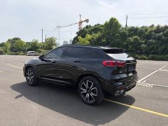 Great Wall WEY VV7 New Energy 2020 PHEV 2.0T Flagship - ფოტო 12