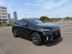 Great Wall WEY VV7 New Energy 2020 PHEV 2.0T Flagship - ფოტო 3