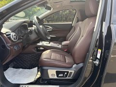 Great Wall WEY VV7 New Energy 2020 PHEV 2.0T Flagship - ფოტო 4