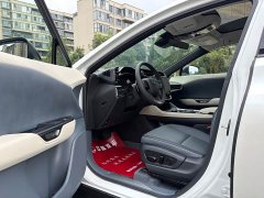 Lexus RZ 2023 450e AWD Luxury Edition - ფოტო 6