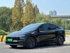 Tesla Model Y Long Range Rear-Wheel Drive - ფოტო 1