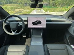 Tesla Model Y Long Range Rear-Wheel Drive - ფოტო 10