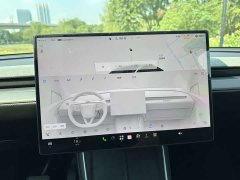 Tesla Model Y Long Range Rear-Wheel Drive - ფოტო 19