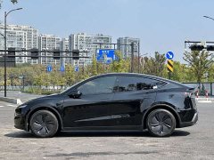 Tesla Model Y Long Range Rear-Wheel Drive - ფოტო 3