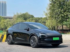 Tesla Model Y Long Range Rear-Wheel Drive - ფოტო 4