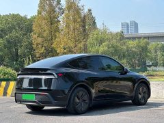 Tesla Model Y Long Range Rear-Wheel Drive - ფოტო 5