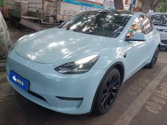 Tesla Model Y Standard Range RWD - ფოტო 1
