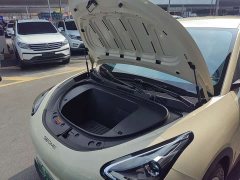 Geely Xing Yuan 310km Youth Edition - ფოტო 19