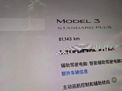 Tesla Model 3 Standard Range RWD Upgrade 3D6 - ფოტო 13