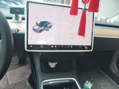 Tesla Model 3 Standard Range RWD Upgrade 3D6 - ფოტო 14