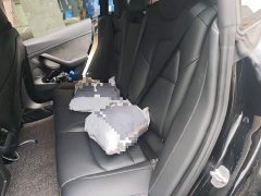 Tesla Model 3 Standard Range RWD Upgrade 3D6 - ფოტო 18