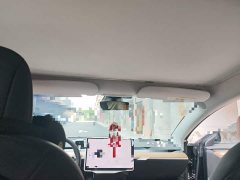 Tesla Model 3 Standard Range RWD Upgrade 3D6 - ფოტო 19