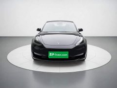 Tesla Model 3 Standard Range RWD Upgrade 3D6 - ფოტო 2