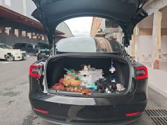 Tesla Model 3 Standard Range RWD Upgrade 3D6 - ფოტო 20