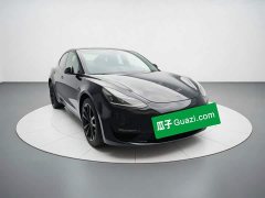 Tesla Model 3 Standard Range RWD Upgrade 3D6 - ფოტო 3