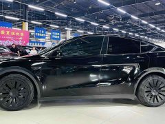 Tesla Model Y Rear-Wheel Drive - ფოტო 4