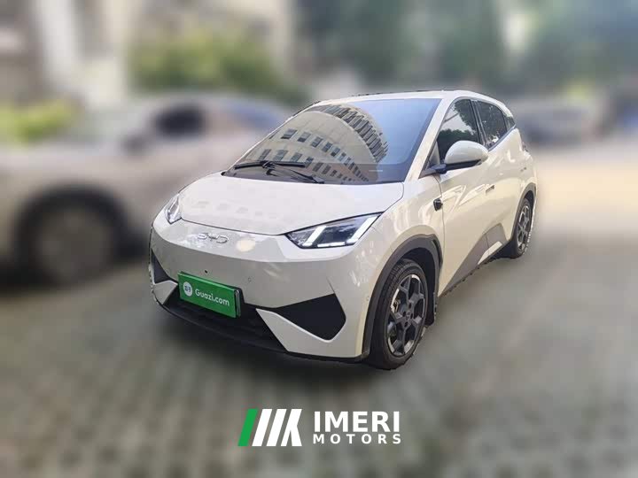 BYD Seagull Smart Driving Edition 305km Freedom Edition